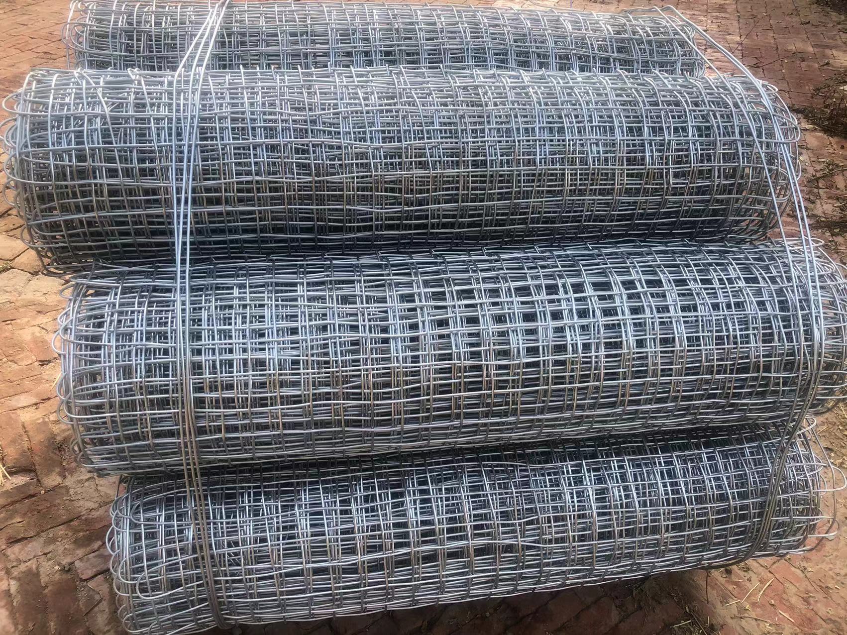 大同鍍鋅礦用經(jīng)緯網(wǎng) 煤礦支護網(wǎng) 特殊規(guī)格可定做圖片3