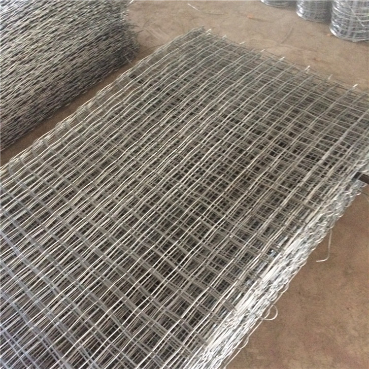 安平金屬經緯網鍍鋅煤礦經緯編織網圖片3