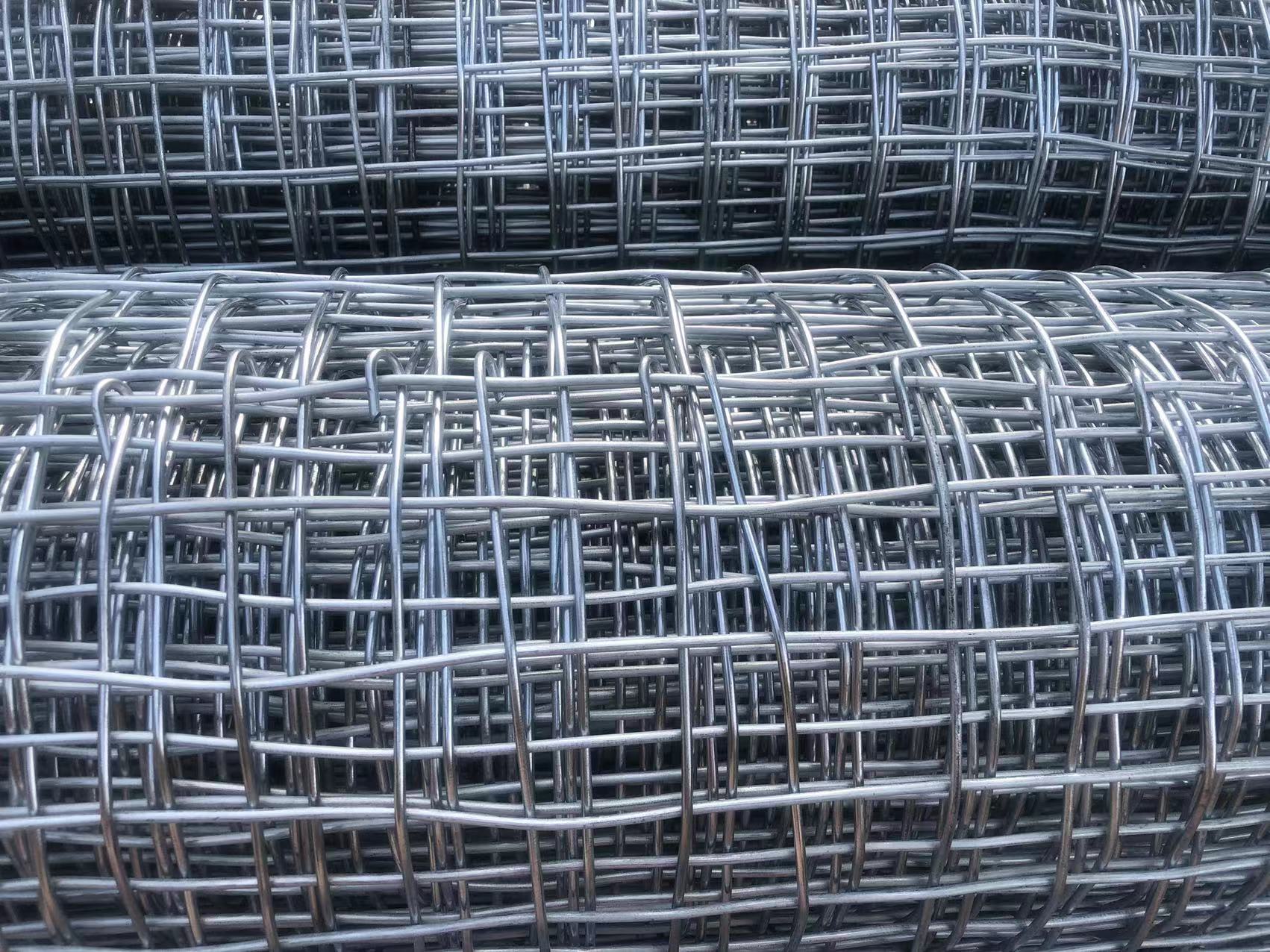 河南煤礦井下用經緯形金屬網圖片2