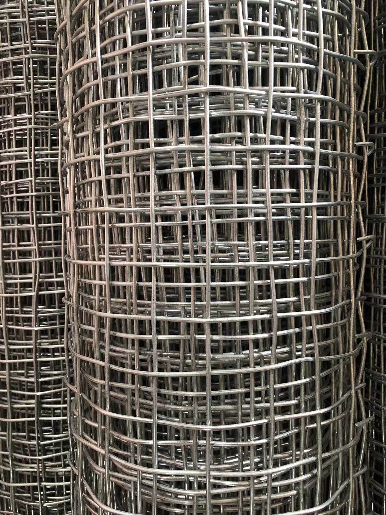 河南煤礦井下用經緯形金屬網圖片4